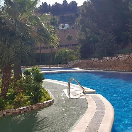 Apartamento Benidorm Viena Buitenkant foto